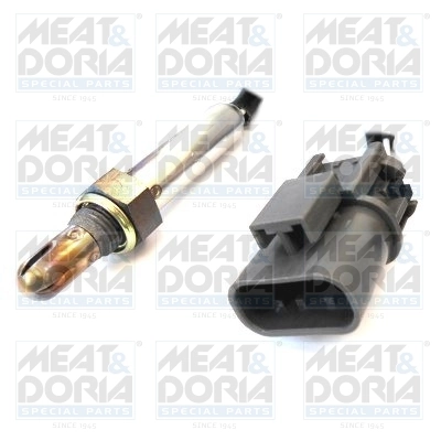 Oxygen Sensor